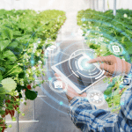Formation en gestion agricole