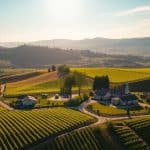 viticulture-oenologie-formation-aura